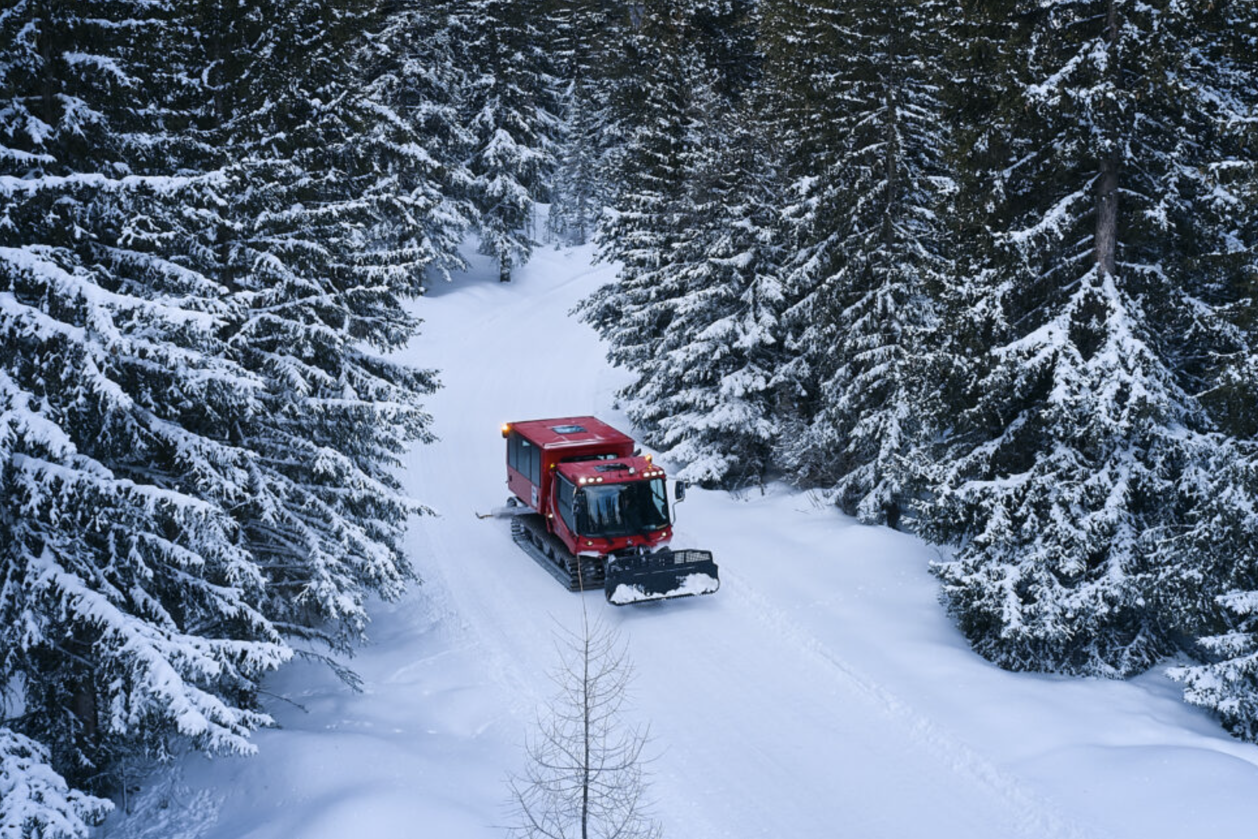 erleben alpenuschnaager