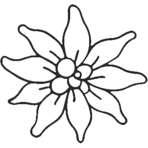 Chalet Wylar Bürchen (Wallis) – Ferienhaus in den Alpen